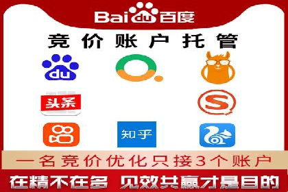 案例研究：竞价广告助力电商行业增长